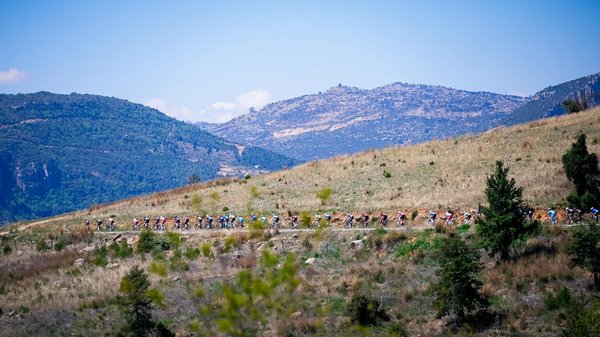 Matériel de pêche à la mouche : quelle canne choisir ?