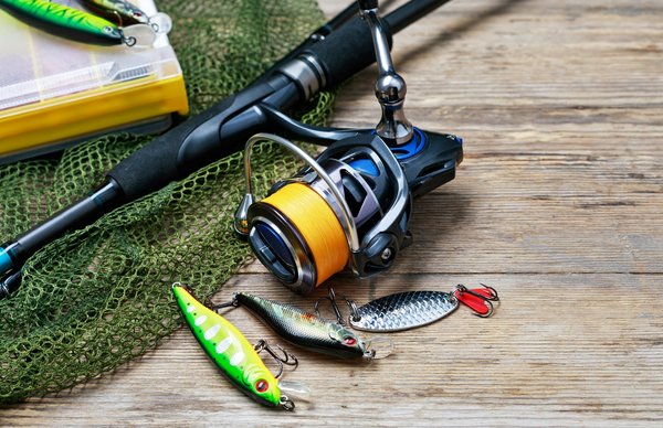 Comment choisir le meilleur équipement pour la pêche au bar ?